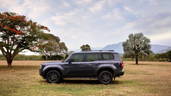 Land Cruiser Prado - Image 4